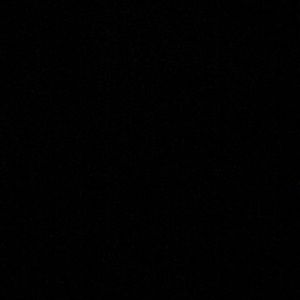 Meet your Posher, Maia